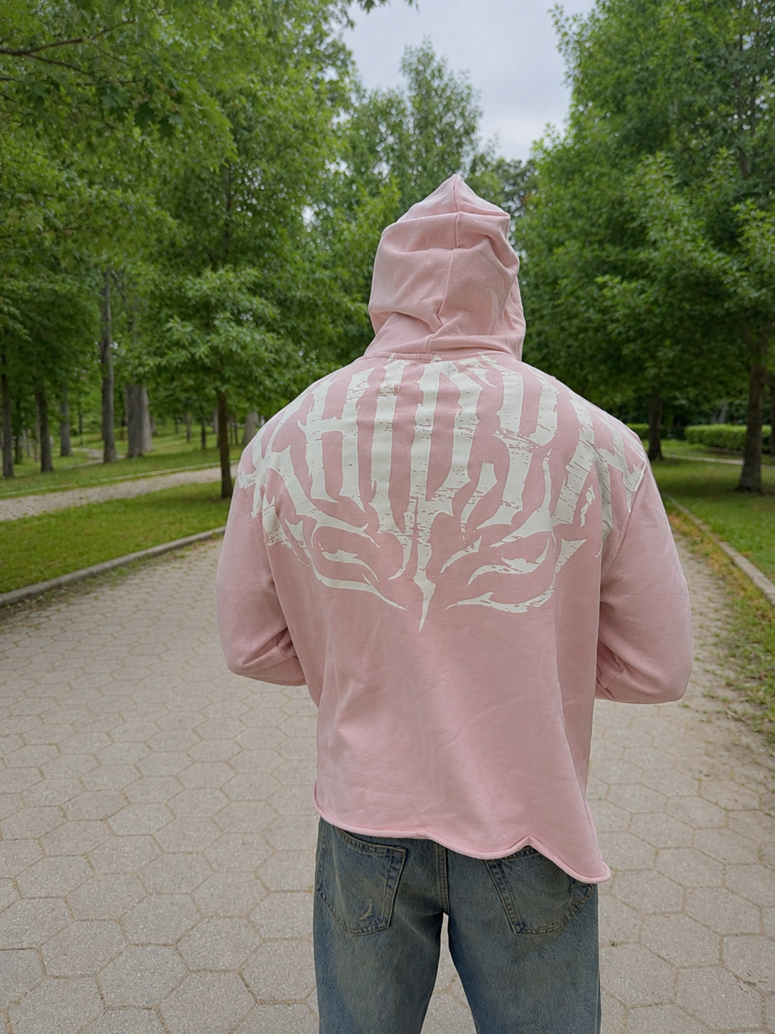 Stealth Pump-Cover Hoodie in Pink on model — hood up, back print